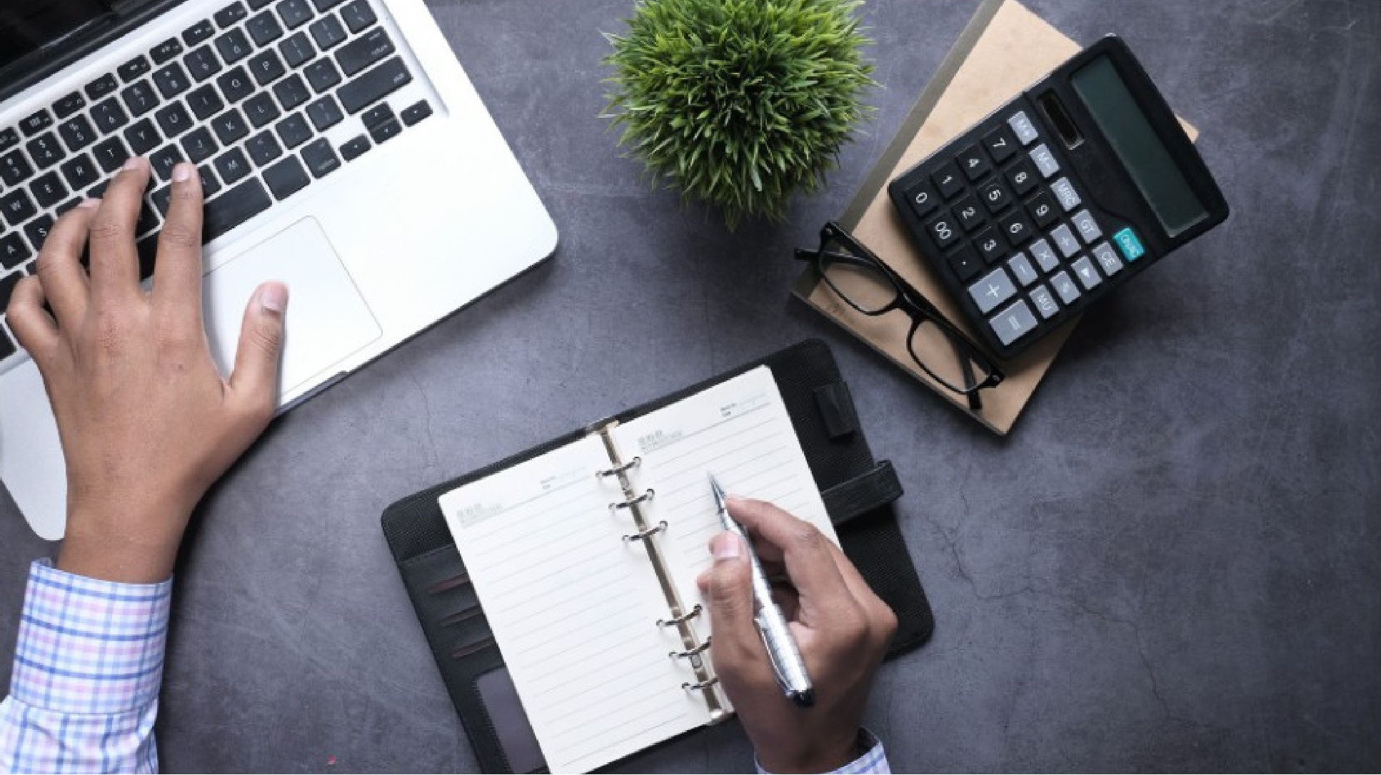 agence immobilière saint jean d'aulps